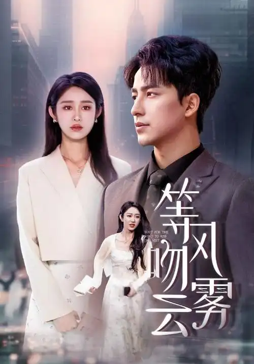 雾港迷局 高清影视在线看